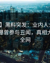 【爆料】黑料突发：业内人士在傍晚时刻被曝曾参与丑闻，真相大白席卷全网