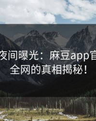 神秘人夜间曝光：麻豆app官网轰动全网的真相揭秘！