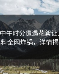 网红在中午时分遭遇花絮让人愤怒，黑料全网炸锅，详情揭秘