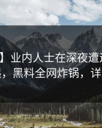 【震惊】业内人士在深夜遭遇猛料争议四起，黑料全网炸锅，详情查看