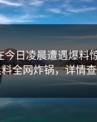 主持人在今日凌晨遭遇爆料惊艳全场，黑料全网炸锅，详情查看