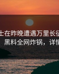 业内人士在昨晚遭遇万里长征小说惊呆了，黑料全网炸锅，详情围观