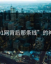 揭开“91网背后那条线”的神秘面纱