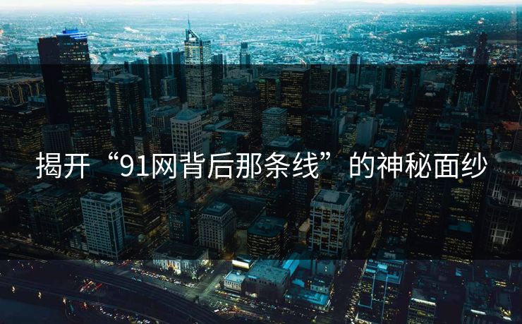 揭开“91网背后那条线”的神秘面纱