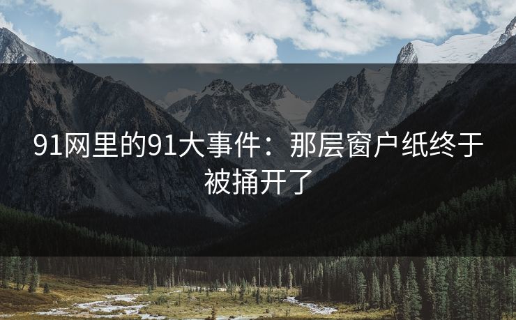 91网里的91大事件：那层窗户纸终于被捅开了